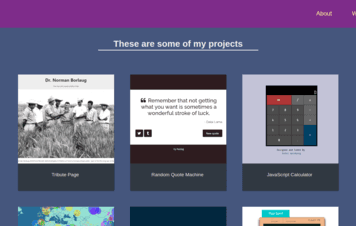 Portfolio Page